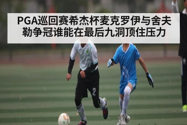 PGA巡回赛希杰杯麦克罗伊与舍夫勒争冠谁能在最后九洞顶住压力